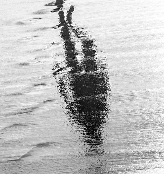 Walking_reflection
